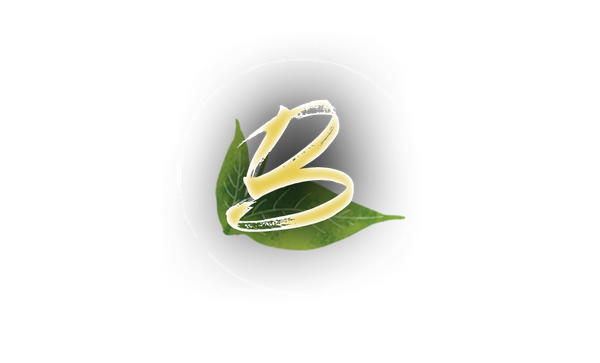 Bare Beauté Essentials